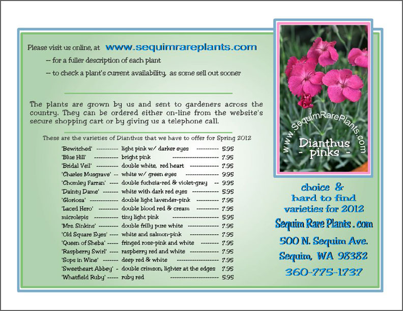 Dianthus brochure