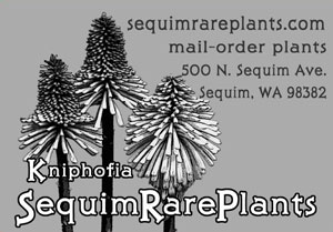 Kniphofia ad in Pacific Horticulture magazine