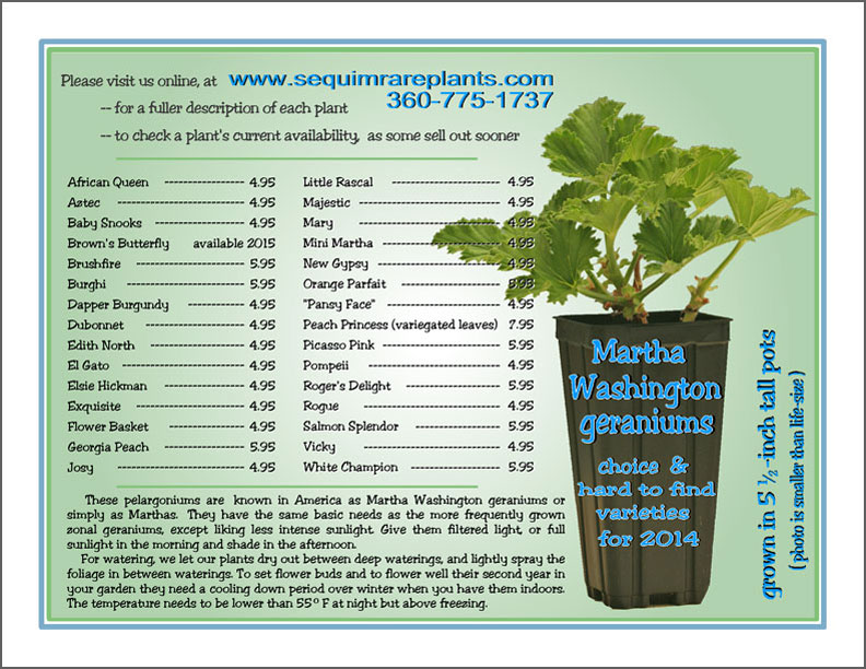 Pelargonium brochure