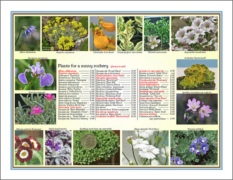rock garden brochure