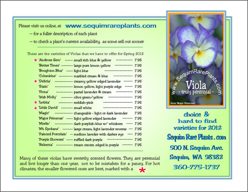 Viola brochure