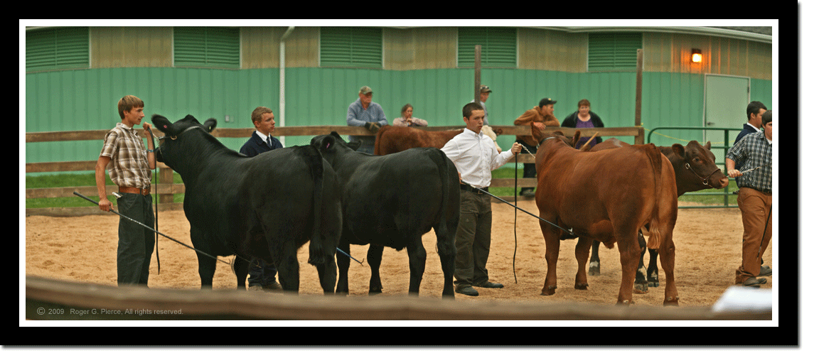 2009 Clallam County Fair