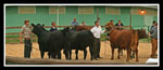 Clallam County Fair